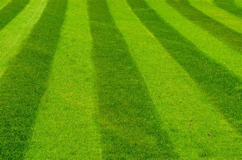 Creative Lawn Mowing Patterns And How To Do Them The Richlawn Company