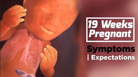 19 Weeks Pregnant Pregnancy Week By Week Symptoms The Voice Of