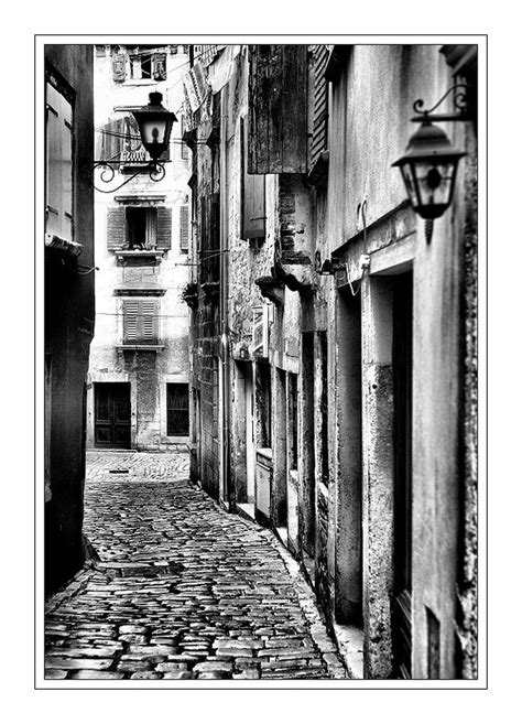 Spain In Black And White Animals Photos