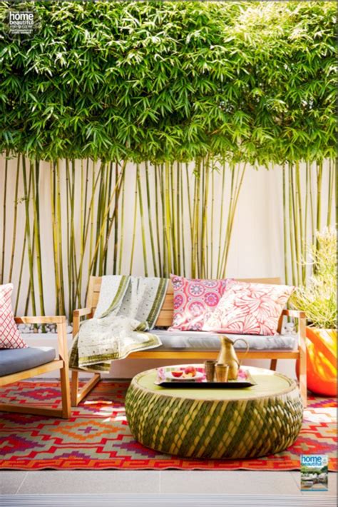 30 Totally Inspiring Bamboo Gardening Ideas For Your Backyard
