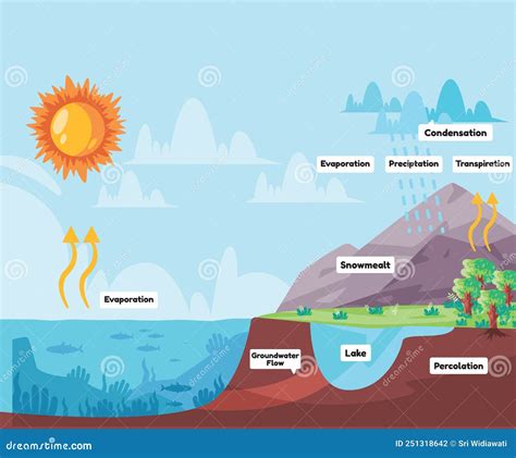 Water Cycle Process Water Evaporates To Atmosphere Condenses Into Rain