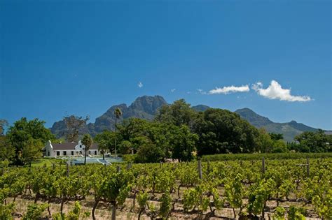 48 Hectare Wine Farm For Sale Franschhoek Fwi1183070 Pam Golding