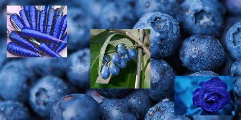 Why Arent There Blue Vegetables Mystical Health Blog