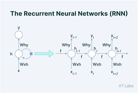 The Essential Guide To Neural Network Architectures