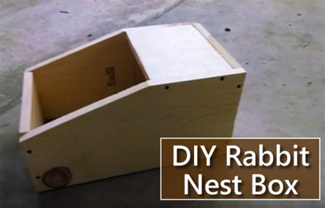 Diy Rabbit Nest Box