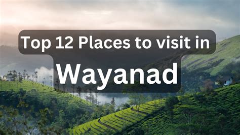 Top 12 Places To Visit Wayanad Kerala Kerala Wayanad Best Tourist Place