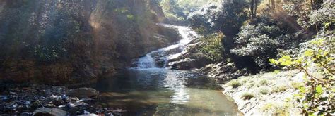 Spread Eagle Falls Tourism Shillong 2024 A Complete Travel Guide