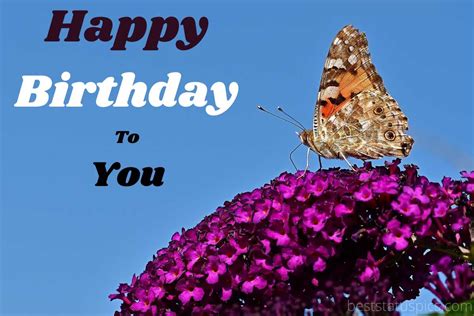 Top 71 Happy Birthday Wishes With Butterfly Images Hd Best Status Pics