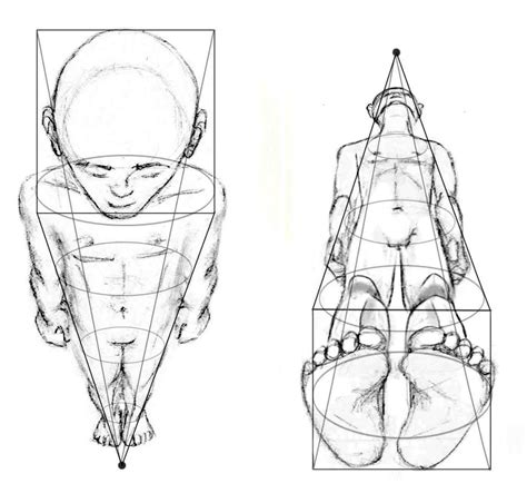 Drawing The Human Figure Perspective And Foreshortening Hubpages