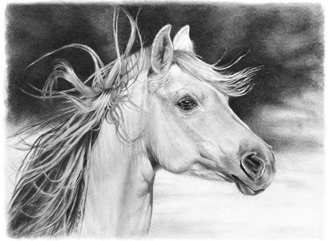 Ver más ideas sobre animales , dibujos de animales , dibujo de animales. Dibujos de animales a lápiz | Dibujos a lapiz