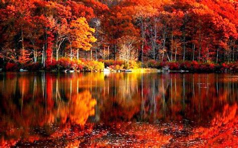 Beautiful Autumn Desktop Wallpapers Top Những Hình Ảnh Đẹp