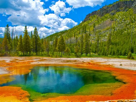 Covering a territory of around 528.64 square kms, the notorious sarawak chamber are accepted to be the biggest collapses the world that can oblige upto. Geyser Yellowstone National Park Usa : Wallpapers13.com