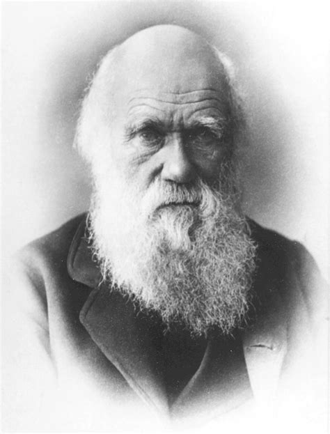 Biologia Al Cubo 180 Grandes CientÍficos 5 Sir Charles Darwin