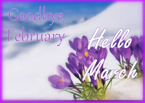 Goodbye February Hello March Images 15 Goodbye February Hello March