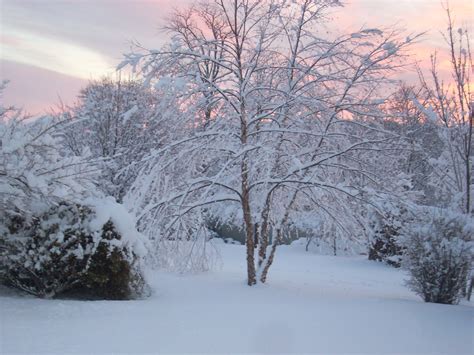 Swac Girl Sunrise After The Snow Winter Wonderland In