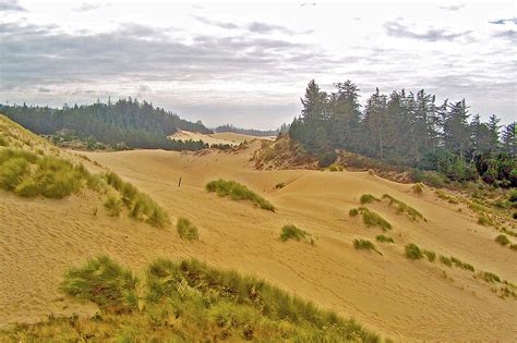 Oregon Dunes National Recreation Area Oregon Photograph By Ruth Hager