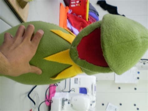 Kermit The Frog Clone 10 Steps With Pictures Instructables