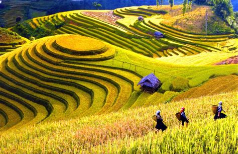 what-to-do-in-sapa-travel-guide-i-tour-vietnam-blogs