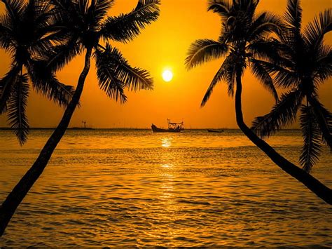Sunset Sea Silhouette Coconut Trees Hd Wallpaper Peakpx