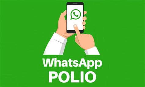 Since this app is so popular, many modern versions of the app have already started. Government Launches Polio Helpline on WhatsApp - Brandsynario