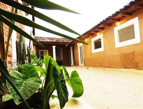 ¿te animarías a probar un cactus? Un brin de nature dans LA CASA DE LOS CACTUS - Alquileres ...