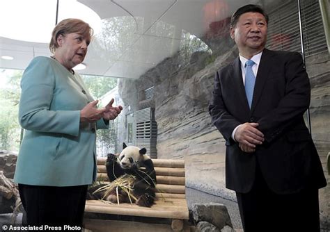 Chinese President Presents 2 Giant Pandas To Berlin Zoo Daily Mail Online