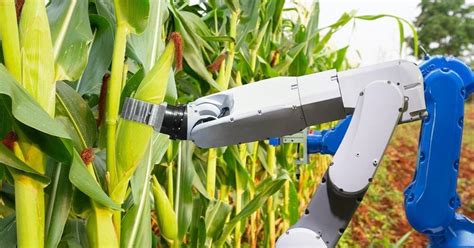 Australias First Fully Automated Smart Farm Will Use Only Robots For