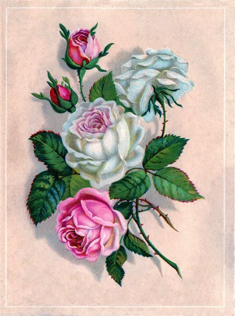 4.703 imágenes gratis de flores vintage. Láminas para découpage Flores | Rosas de época, Láminas vintage, Flores de época