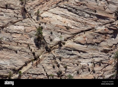 Tree Growing On Edge Cliff Hi Res Stock Photography And Images Alamy