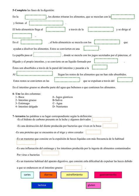 Ejercicio Interactivo De El Aparato Digestivo Aparato Digestivo