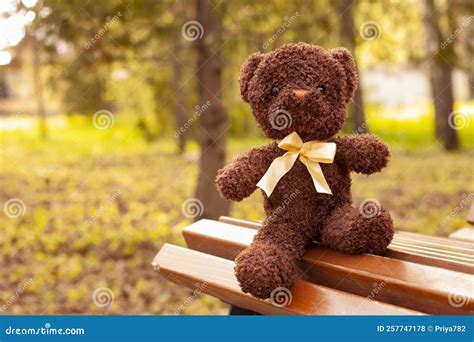 A Teddy Bear Sits On A Bench In An Autumn Park Stock Photo Image Of