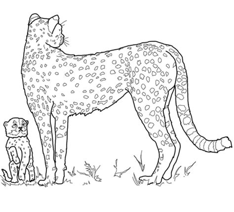 Super coloring free printable coloring pages for kids coloring sheets free colouring book illustrations printable pictures clipart black and white pictures line art and drawings. Baby Cheetah and Mother coloring page | SuperColoring.com