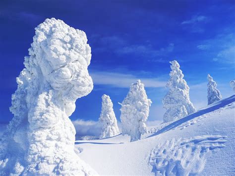 Mt Zao Snow Monsters Japan 蔵王山の樹氷 The Trees On Top Of