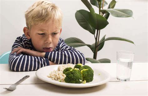 Vies (vat information exchange system) is a search engine (not a database) owned by the european commission. Kinderen die weigeren om groenten te eten - Gezonder Leven