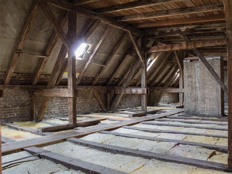 Maybe you would like to learn more about one of these? Pest Control For Attics | Pest Control