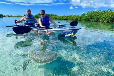 Clear Kayak Eco Tour From Turks And Caicos Islands From Us Cool