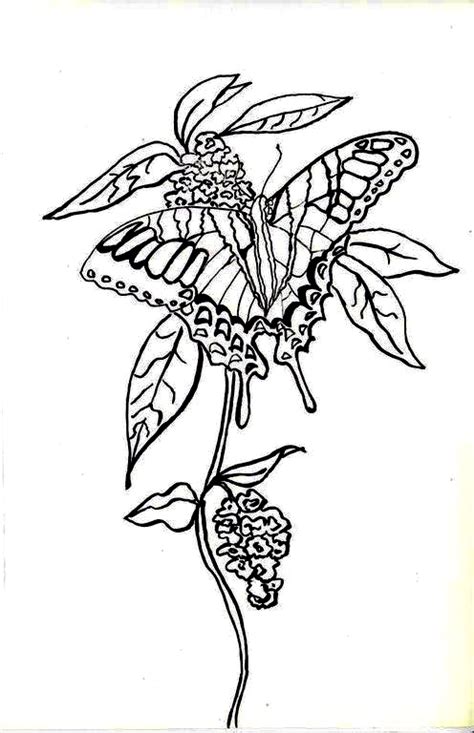 Uprinting offers greeting card templates for prepress file preparation. Make it easy crafts: Printable Butterfly coloring greeting ...