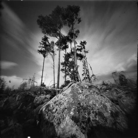 Dream Forest Ii Pinhole Camera Reality So Subtle 66f Film Flickr