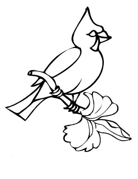 These color flashcards come in 3 sets and can be used for young to advanced learners of english. Winter Bird Cardinal Coloring Page: Winter Bird Cardinal ...