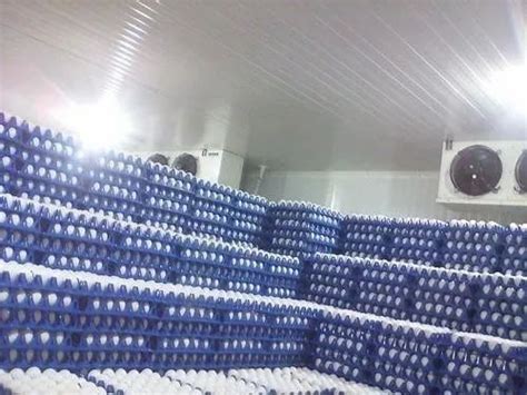 Fully Automatic Cold Storage Rooms X X At Rs In New Delhi Id