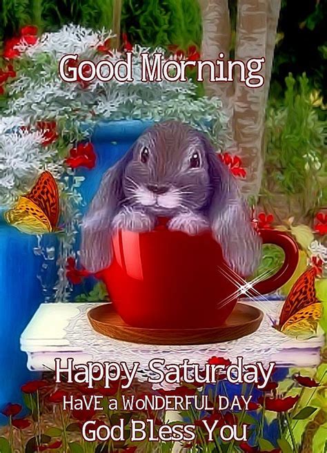 Rabbit In Cup Good Morning Happy Saturday Pictures Photos And
