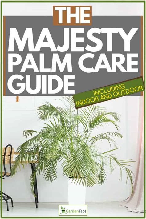 Try to keep this palm away from cold drafts or heating vents. The Majesty Palm Care Guide (Inc. Indoor and Outdoor ...