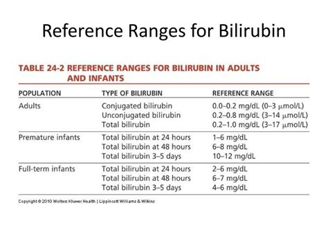 Elevated Bilirubin Levels In Asymptomatic Adults
