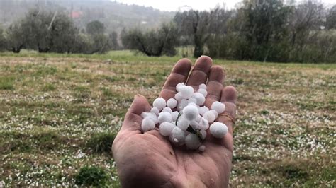 Ecco Cosé E Come Si Forma Il Graupel E Perché é Differente Dalla