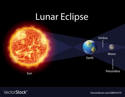 Diagram Showing Lunar Eclipse On Earth Royalty Free Vector