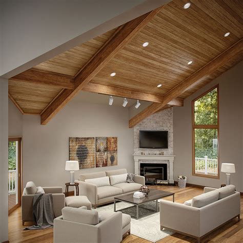 Vaulted Ceiling Living Room Lighting Ideas Baci Living Room