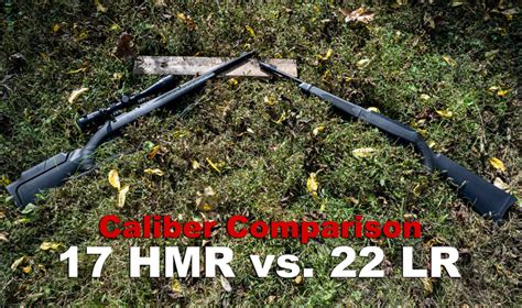 17 Hmr Vs 22 Long Rifle The Lodge At