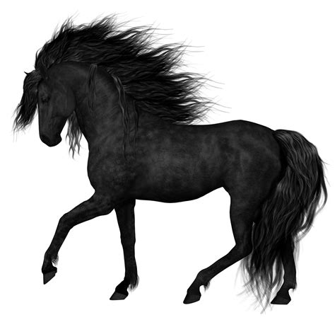 Black Horse Png 20 Free Cliparts Download Images On Clipground 2024