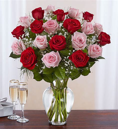 Red And Pink Rose Special Dozen In Standard Main Florist