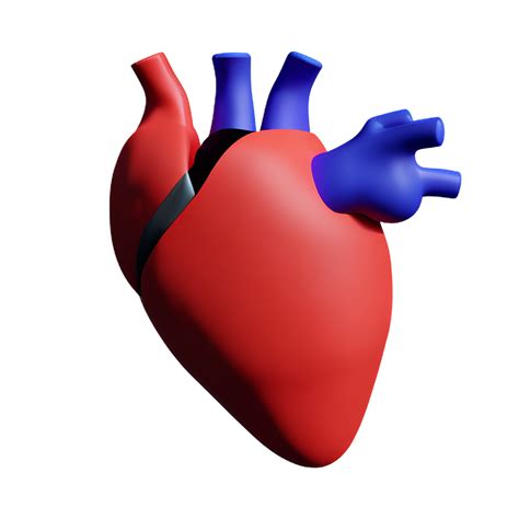 Human Real Heart 3d Rendering Icon Illustration 29188407 Png